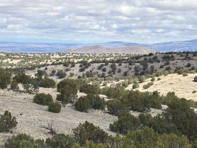 Pinon Spgs, Magdalena, NM 87825 - photo 2