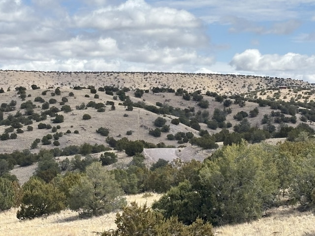 Pinon Spgs, Magdalena, NM 87825 - photo 3