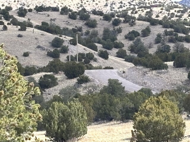 Pinon Spgs, Magdalena, NM 87825 - photo 4