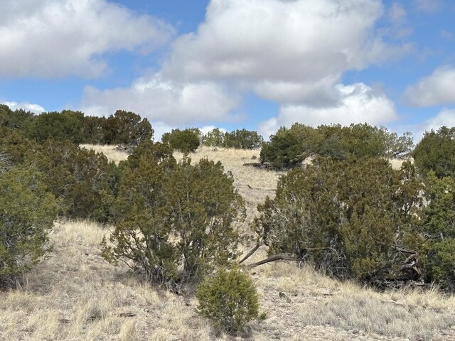 Pinon Spgs, Magdalena, NM 87825 - photo 5