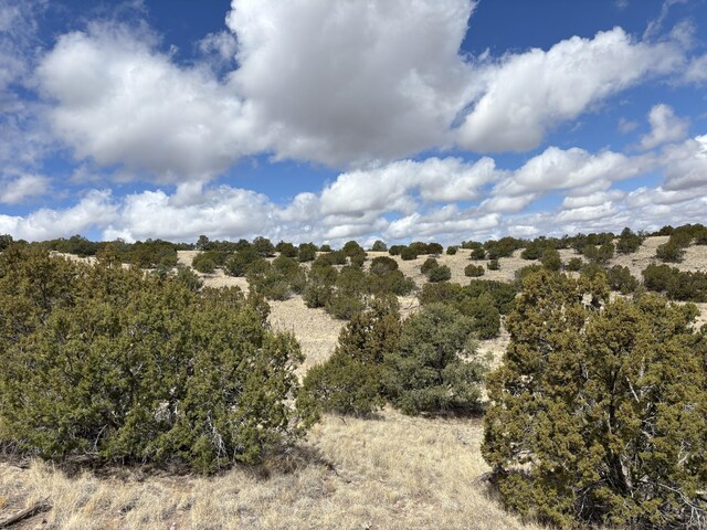 Pinon Spgs, Magdalena, NM 87825 - photo 6