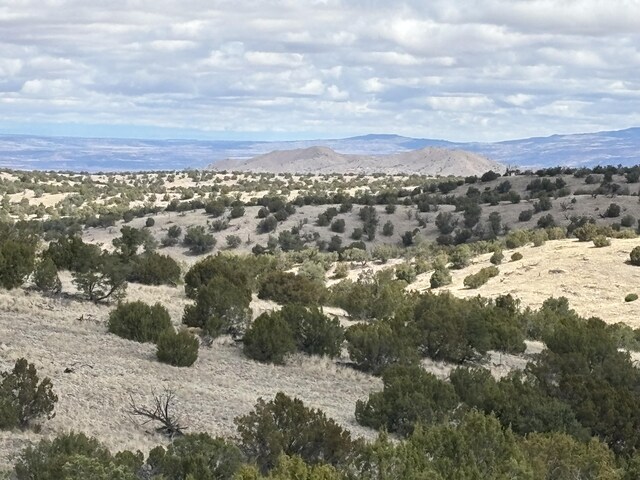 Pinon Spgs, Magdalena, NM 87825 - photo 7