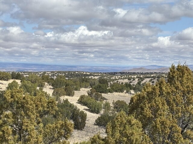 Pinon Spgs, Magdalena, NM 87825 - photo 8