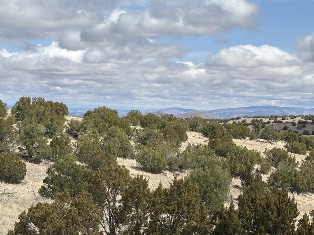 Pinon Spgs, Magdalena, NM 87825 - photo 9