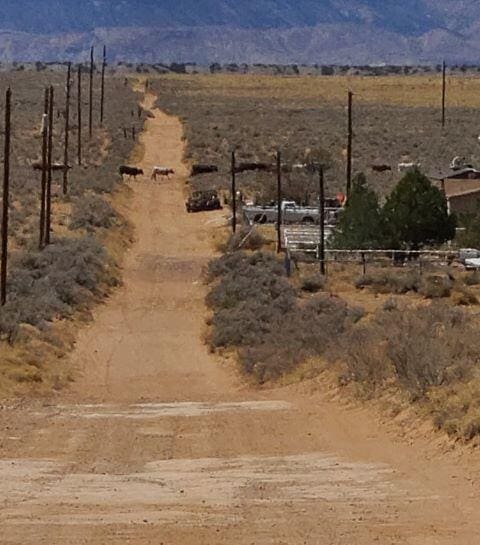 Hormiga D Ct, Los Lunas, NM 87031