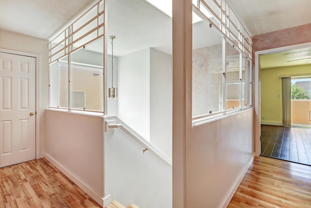 5209 Sugarbear Ct, Albuquerque, NM 87120 - hall featuring wood finished floors and baseboards