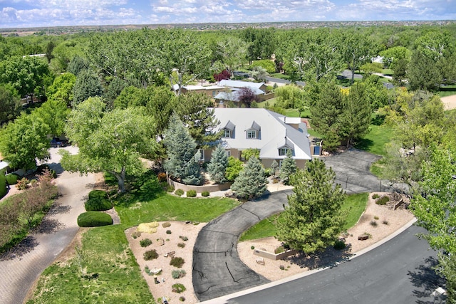 1513 Tinnin Rd NW, Los Ranchos, NM 87107 - aerial view of a heavily wooded area