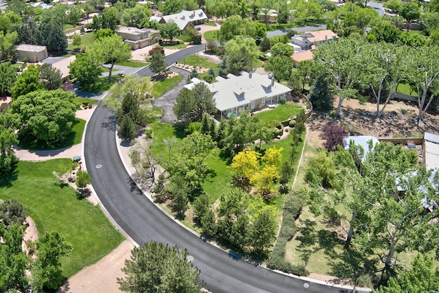 1513 Tinnin Rd NW, Los Ranchos, NM 87107 - aerial view of residential area featuring a tree filled landscape