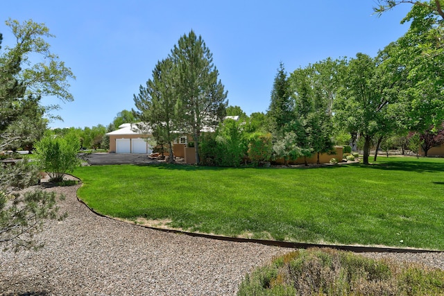 1513 Tinnin Rd NW, Los Ranchos, NM 87107 - view of grassy yard with a garage