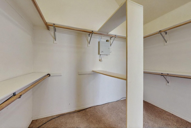 8720 Oakcrest Pl NW, Albuquerque, NM 87114 - walk in closet featuring carpet floors