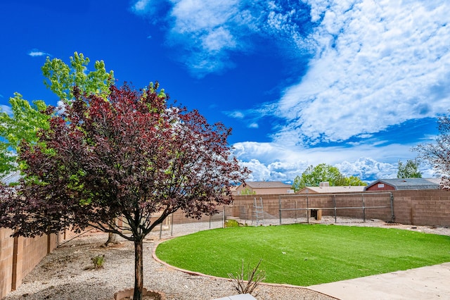10500 Trieste Ct NW, Albuquerque, NM 87114 - view of yard