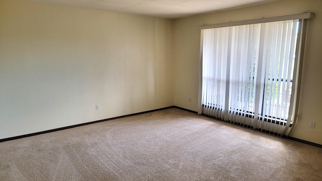 4629 Rainbow St NW, Albuquerque, NM 87114 - photo 14