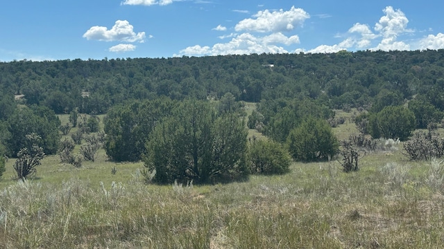 226 Nugent Rd, Edgewood, NM 87015
