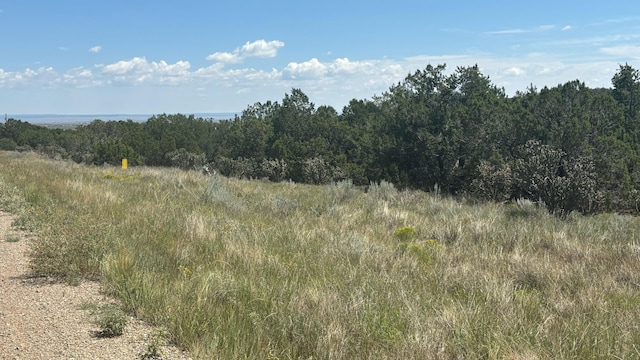 226 Nugent Rd, Edgewood, NM 87015