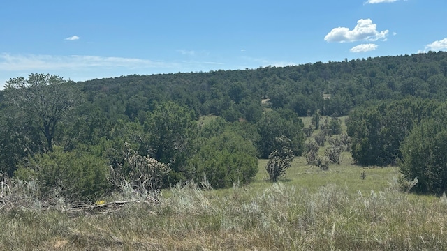 226 Nugent Rd, Edgewood, NM 87015