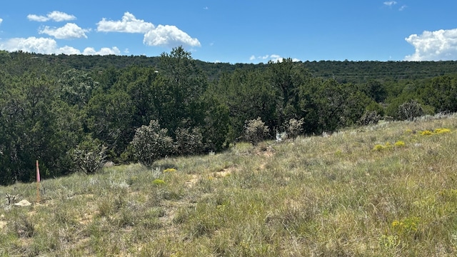 226 Nugent Rd, Edgewood, NM 87015