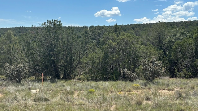 226 Nugent Rd, Edgewood, NM 87015