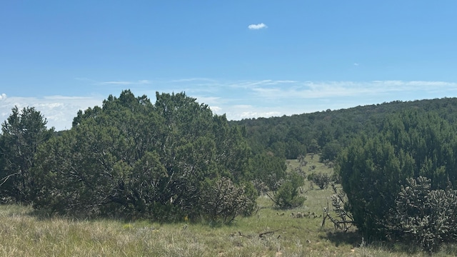 226 Nugent Rd, Edgewood, NM 87015