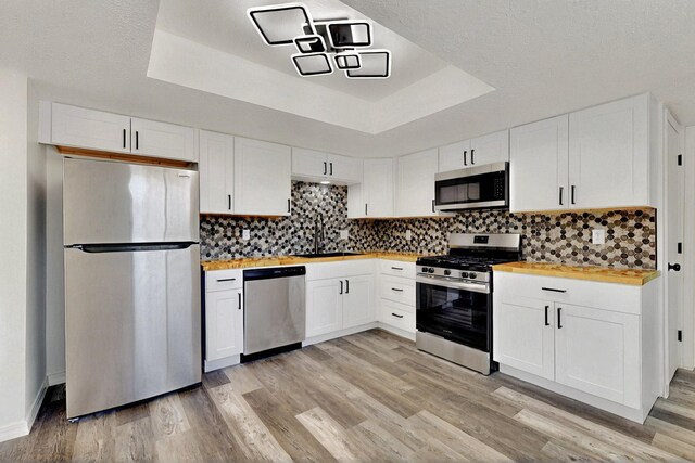 357 Meade Ct, Rio Communities, NM 87002 - kitchen featuring appliances with stainless steel finishes, a tray ceiling, a sink, and light wood-style floors