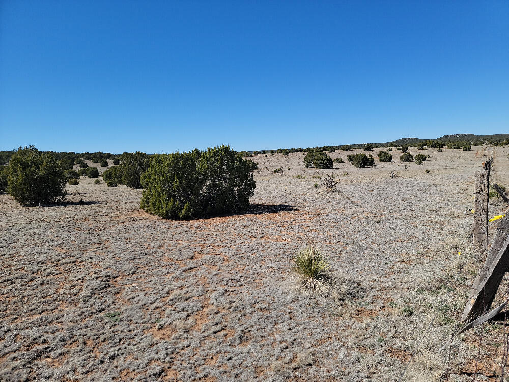 70 Quiet Valley Dr, Estancia, NM 87016 - photo 2