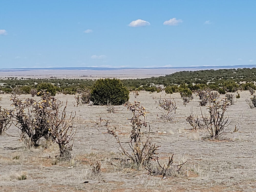 70 Quiet Valley Dr, Estancia, NM 87016 - photo 1