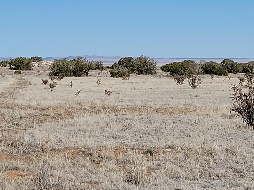 603 Marshall Rd, Estancia, NM 87016 - photo 2