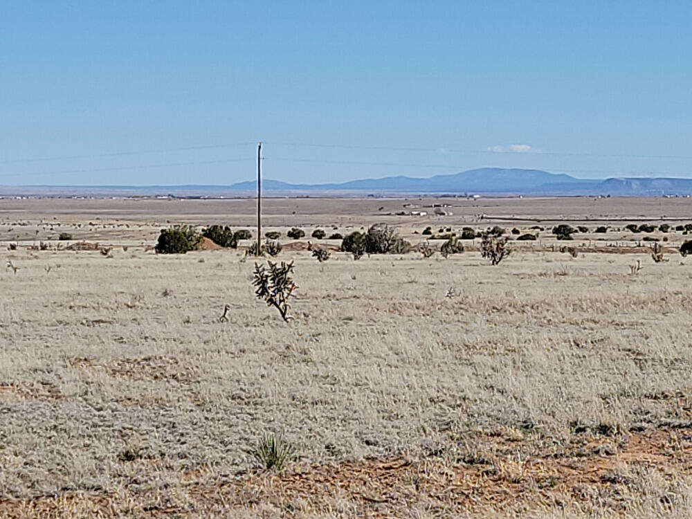 603 Marshall Rd, Estancia, NM 87016 - photo 1