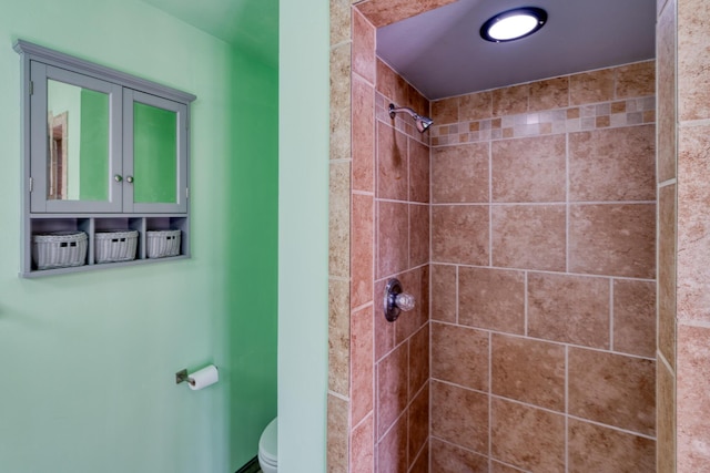 508 Las Marias Dr SE, Rio Rancho, NM 87124 - bathroom with toilet and a tile shower