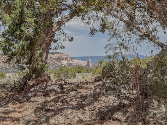 33 Kestrel Rd, Ramah, NM 87321 - view of mountain background