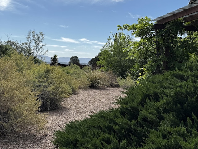 3121 Grande Vista Pl NW, Albuquerque, NM 87120 - view of yard
