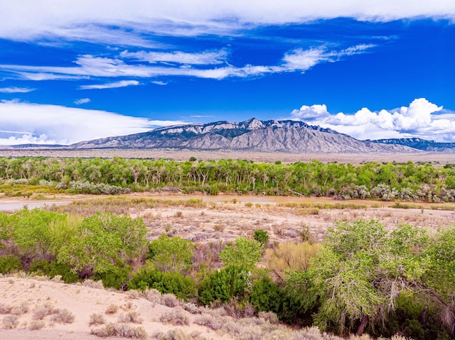 2392 Manzano Loop NE, Rio Rancho, NM 87144 - mountain view