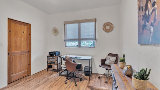 59 Sky Mountain Rd, Placitas, NM 87043 - office area featuring light wood finished floors