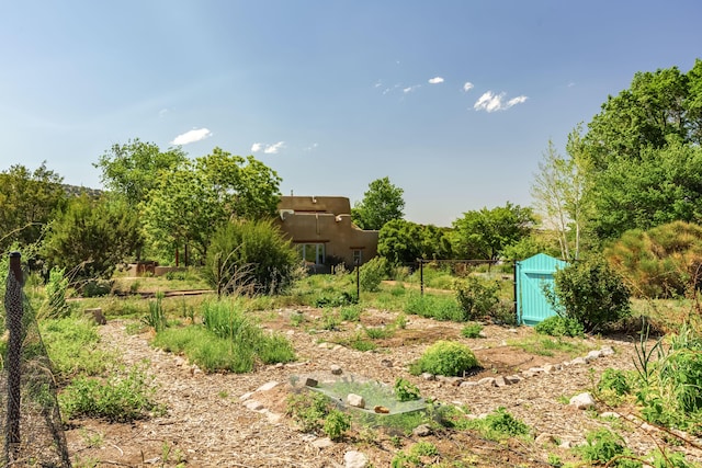 59 Perdiz Canyon Rd, Placitas, NM 87043 - view of yard