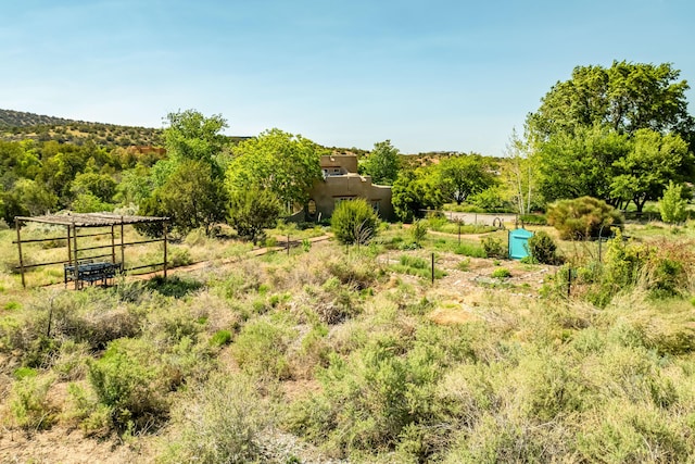 59 Perdiz Canyon Rd, Placitas, NM 87043 - view of yard