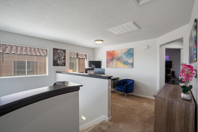 3604 Plano Vista Rd NE, Rio Rancho, NM 87124 - home office with carpet floors, a textured ceiling, and baseboards