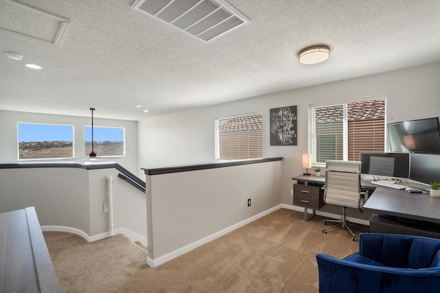 3604 Plano Vista Rd NE, Rio Rancho, NM 87124 - office with carpet flooring, baseboards, and a textured ceiling