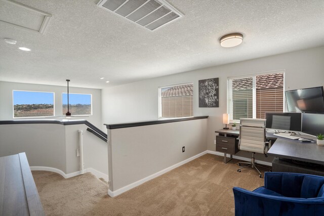 3604 Plano Vista Rd NE, Rio Rancho, NM 87124 - office area featuring carpet and a textured ceiling