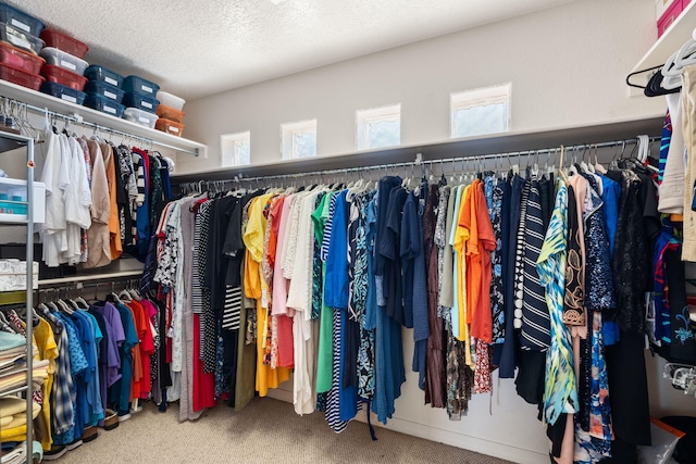 3916 Alamogordo Dr NW, Albuquerque, NM 87120 - walk in closet with carpet floors