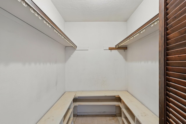 1595 W Bosque Loop, Bosque Farms, NM 87068 - view of walk in closet