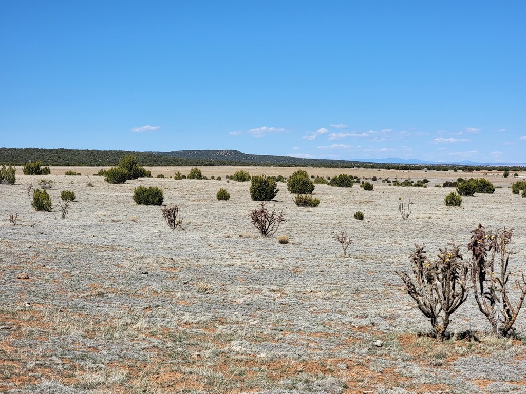 110 Quiet Valley Dr, Estancia, NM 87016 - photo 1