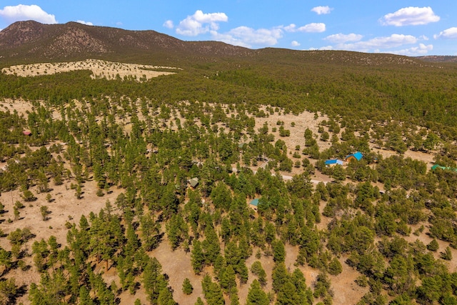 91 El Caso Rd, Quemado, NM 87829 - photo 40