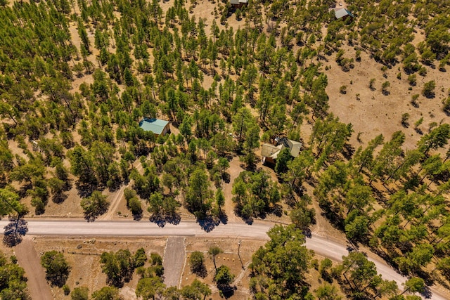 91 El Caso Rd, Quemado, NM 87829 - photo 39