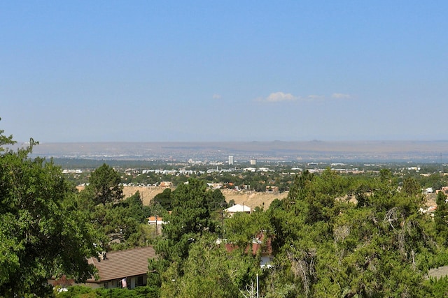 1106 Warm Sands Dr SE, Albuquerque, NM 87123 - bird's eye view