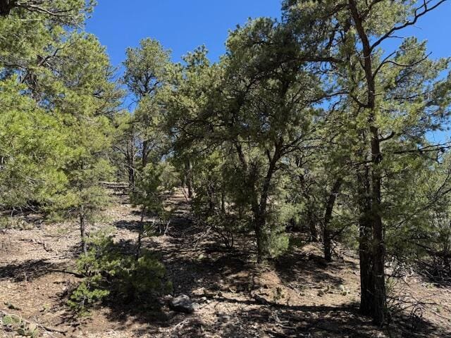 30 Rancho Verde Rd, Tijeras, NM 87059 - photo 8