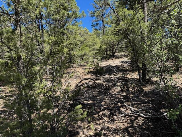 30 Rancho Verde Rd, Tijeras, NM 87059 - photo 7