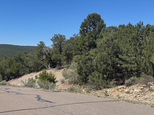 30 Rancho Verde Rd, Tijeras, NM 87059 - photo 6