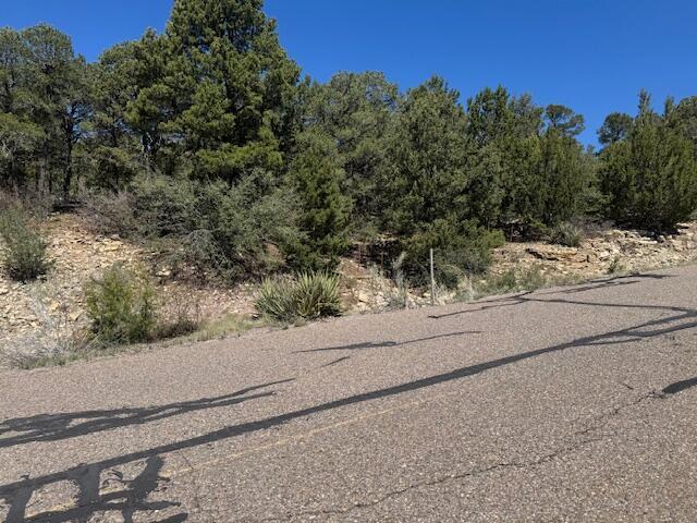 30 Rancho Verde Rd, Tijeras, NM 87059 - photo 5