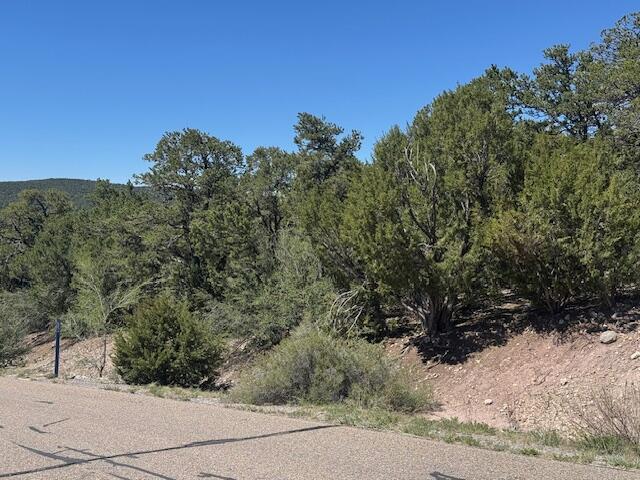30 Rancho Verde Rd, Tijeras, NM 87059 - photo 4