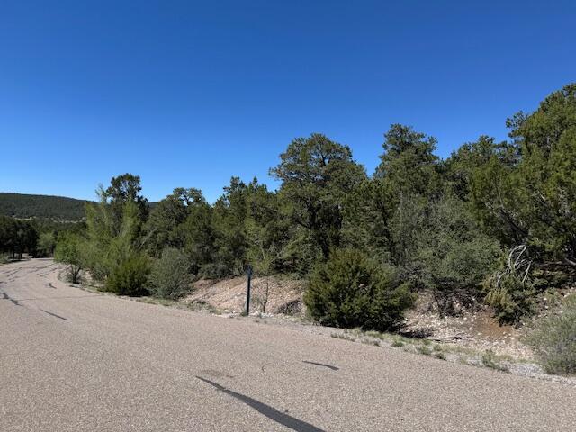 30 Rancho Verde Rd, Tijeras, NM 87059 - photo 3