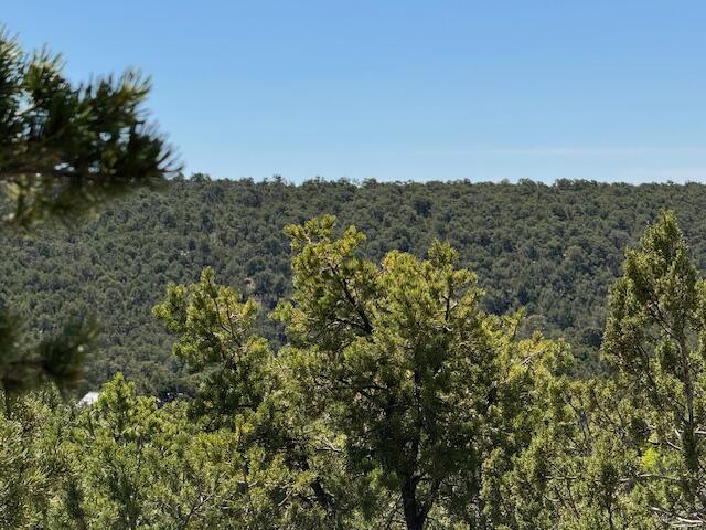 30 Rancho Verde Rd, Tijeras, NM 87059 - photo 2